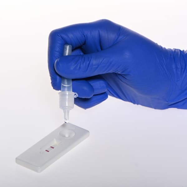 Escherichia coli Point-of-care Diagnostic Kit