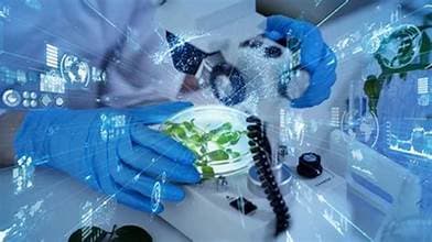 Ogbomoso Biomedical Research Hub Partners Foreign Body