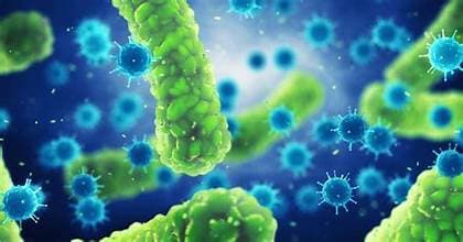 Institute Plans Battle Against Infectious Diseases
